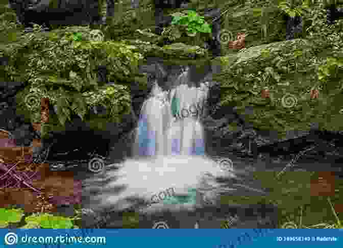 A Cascading Waterfall In A Lush Green Forest 255 Haiku About Anything And Everything: A Of Silly And Somber Poems