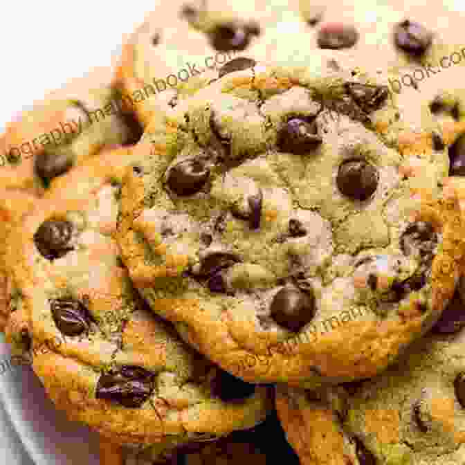 Chocolate Chip Cookies Get The Very Best Self Made Bakeshop In A Few Simple Actions 101 Baked Delicacies Dishes For Staying Healthy By Eating Gluten Free Bread