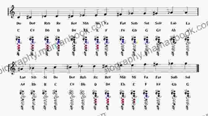 Fingering Chart For The Flute, Showing The Different Finger Combinations Required To Play Various Notes Learn To Play The Flute 1