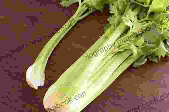 Fresh, Green Celery Stalks Healing Cancer: With Carrots Celery And Spices