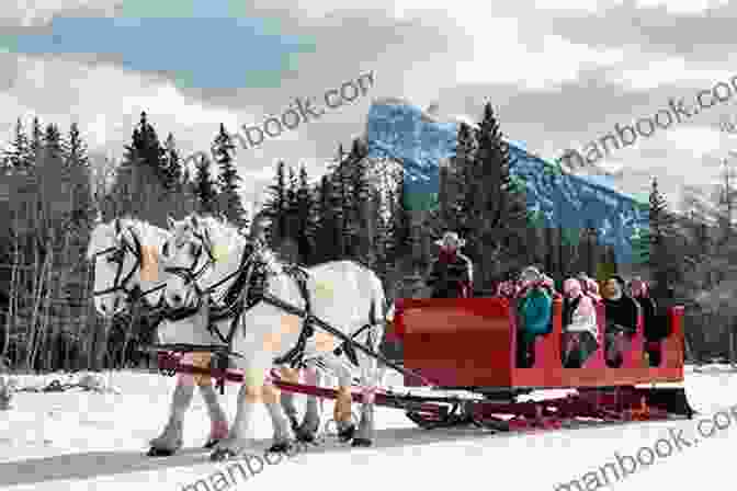 Image Of A Sleigh Ride 150 Holiday Self Care Activities: 150 Ways To Radically Care For Your Body Mind And Soul